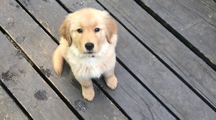 AprilShoe | FOX 28 Spokane