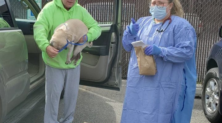 MarianneMongeonWilder | FOX 28 Spokane