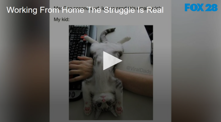 2020-04-20 Working From Home The Struggle Is Real FOX 28 Spokane