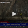 2020-04-22 What Is Quaranteaming FOX 28 Spokane