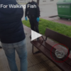 2020-04-27 Man Fined for Walking Fish FOX 28 Spokane