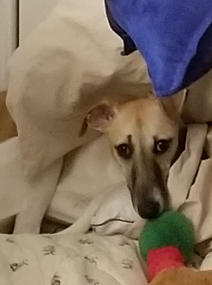 GeorgeGuba | FOX 28 Spokane