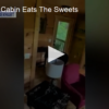 2020-05-13 Bear Visits Cabin Eats The Sweets FOX 28 Spokane
