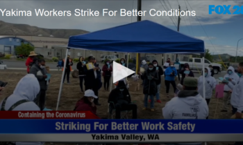 Yakima Workers Strike For Better Conditions
