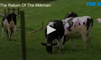 The Return Of The Milkman