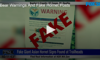 Bear Warnings And Fake Hornet Posts