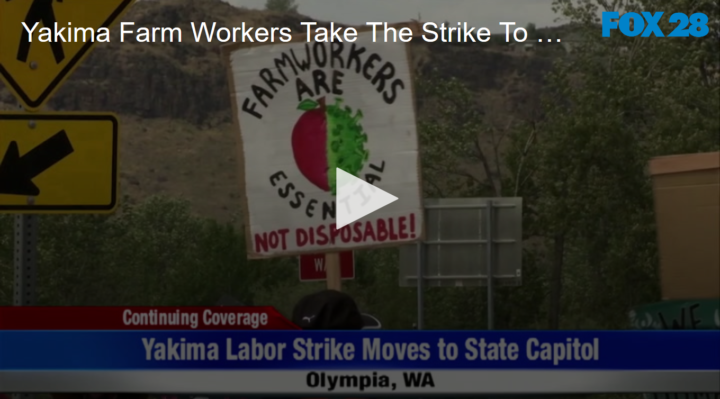 2020-05-27 Yakima Farm Workers Take The Strike To Olympia FOX 28 Spokane