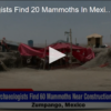 2020-05-28 Archaeologists Find 20 Mammoths In Mexico Construction Site FOX 28 Spokane