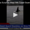 2020-05-29 Pod Of Orca Surprise West WA Coast Guard FOX 28 Spokane