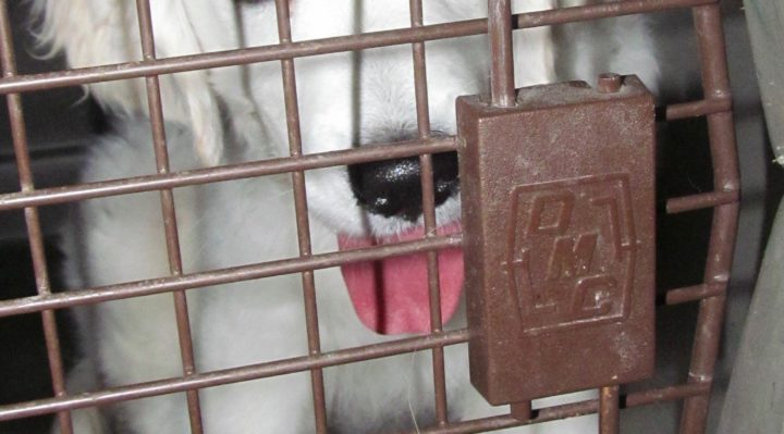 IMG_7096 | FOX 28 Spokane