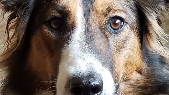 LizPalika | FOX 28 Spokane