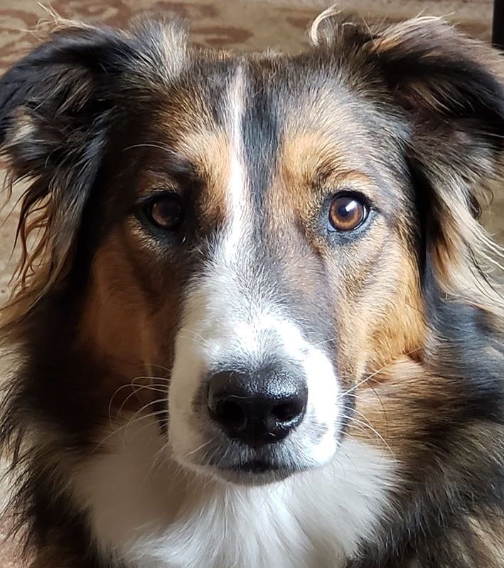 LizPalika | FOX 28 Spokane