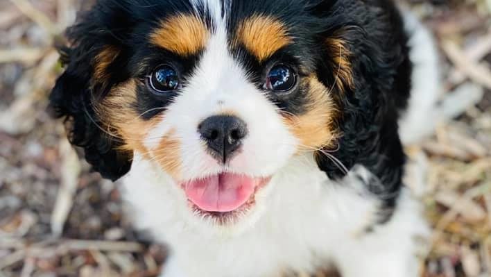 PaulShelbourne | FOX 28 Spokane