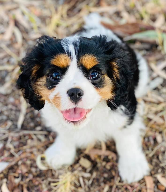 PaulShelbourne | FOX 28 Spokane