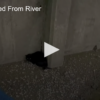 2020-06-11 Cat Rescued From River FOX 28 Spokane