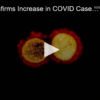 W.H.O Confirms Increase in COVID Cases Not Due to Increase in Testing