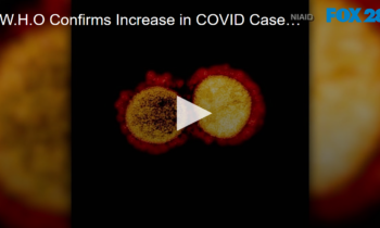 W.H.O Confirms Increase in COVID Cases Not Due to Increase in Testing
