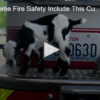 Tips For Home Fire Safety Include This Cute Goat