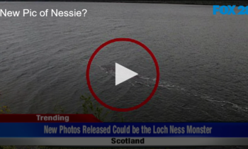 New Pic of Nessie?