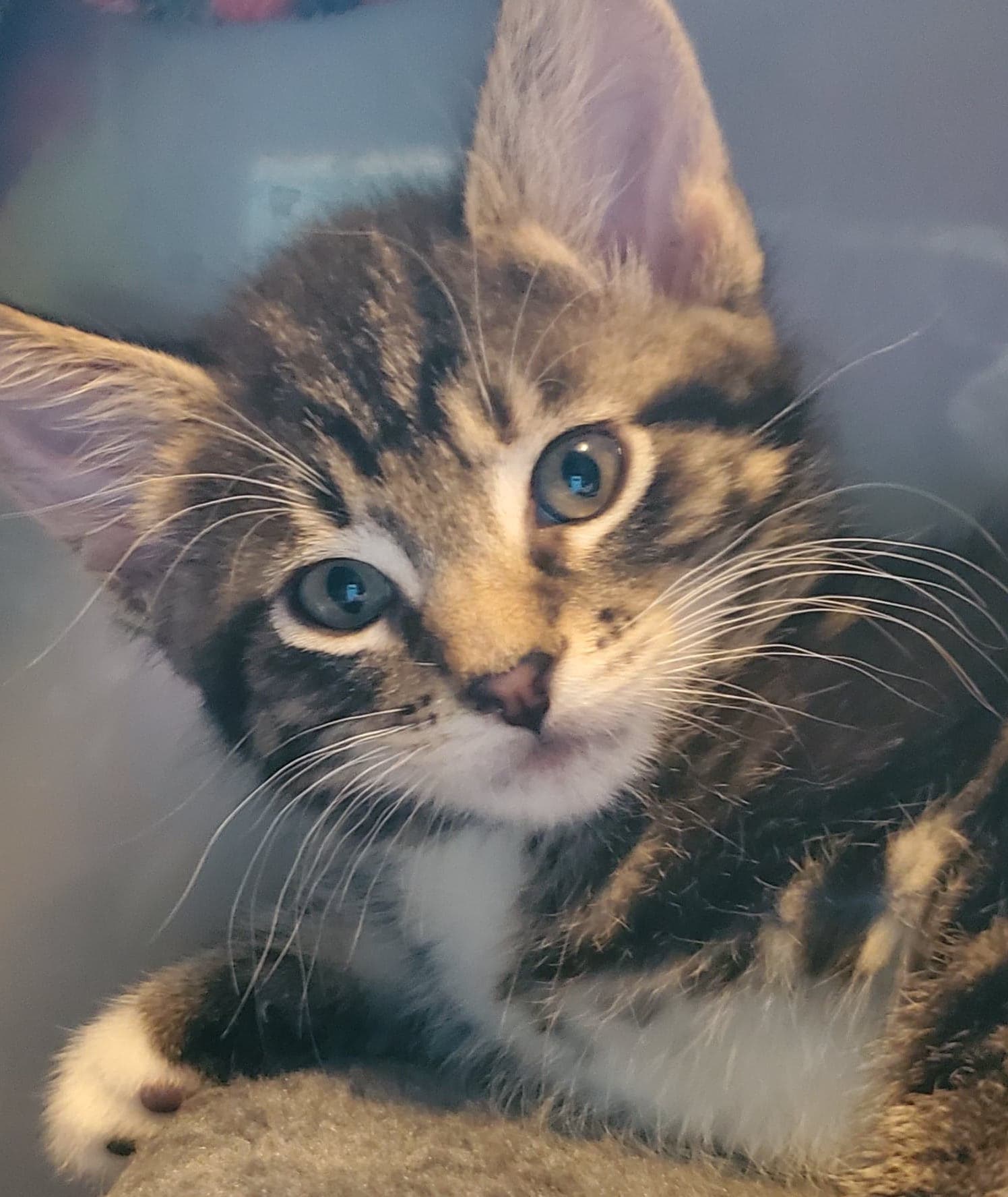 TrudyMeakinRogers | FOX 28 Spokane