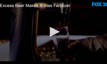 Excess Beer Makes X-mas Fertilizer