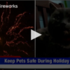 2020-07-02 Pets And Fireworks FOX 28 Spokane