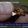 2020-07-02 Setting Traps For Murder Hornets FOX 28 Spokane