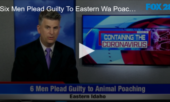 Six Men Plead Guilty to Poaching in Eastern Washington