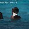 Pools, Pads and COVID