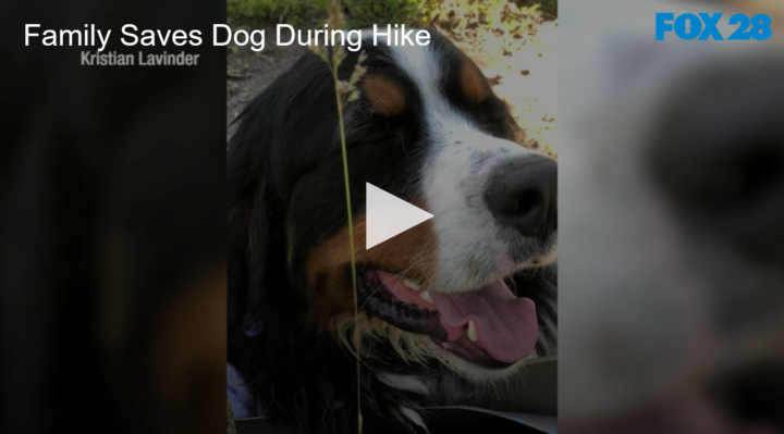 2020-07-15 Family Saves Dog During Hike FOX 28 Spokane