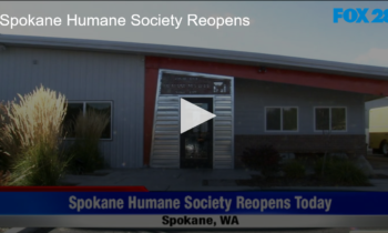 Spokane Humane Society Reopens, with Restrictions