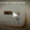 2020-07-22 Energy Friendly Tips To Beat The Heat FOX 28 Spokane