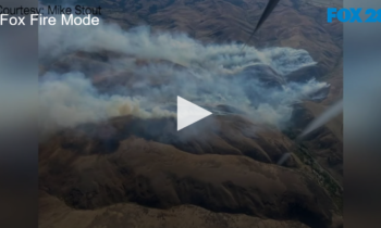 Fox Fire Mode