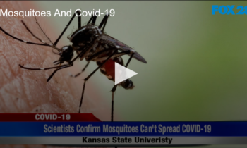 Mosquitoes And Covid-19