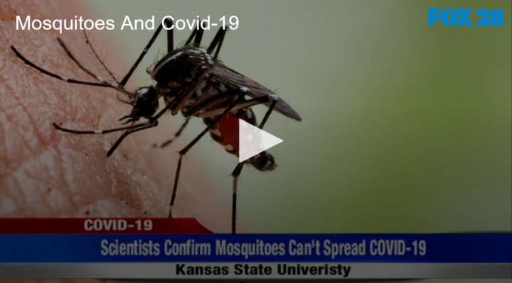2020-07-31 Mosquitoes And Covid-19 FOX 28 Spokane