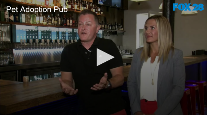 2020-08-11 Pet Adoption Pub Opens in Spokane FOX 28 Spokane