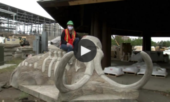 Inside Look At North Bank Park