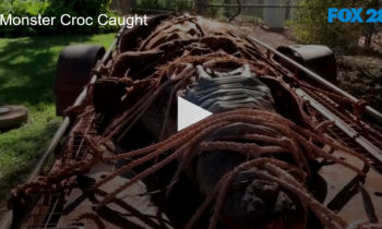 Monster Crocodile Caught in Australia