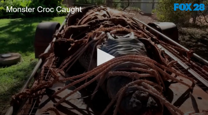 2020-08-31 Monster Croc Caught in Australia FOX 28 Spokane