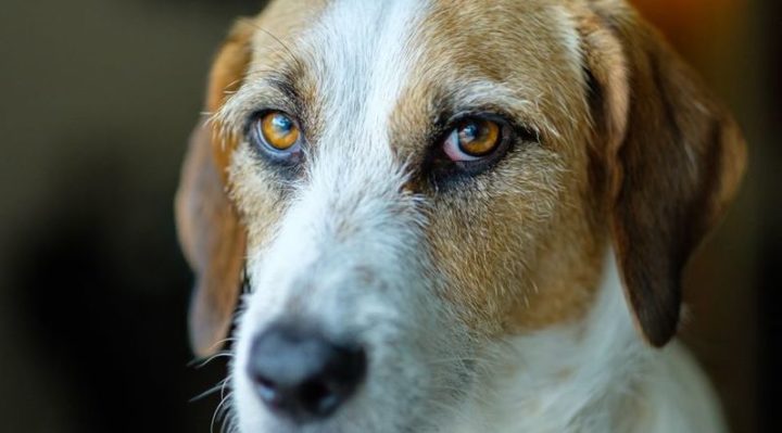 StephenCogswell299 | FOX 28 Spokane