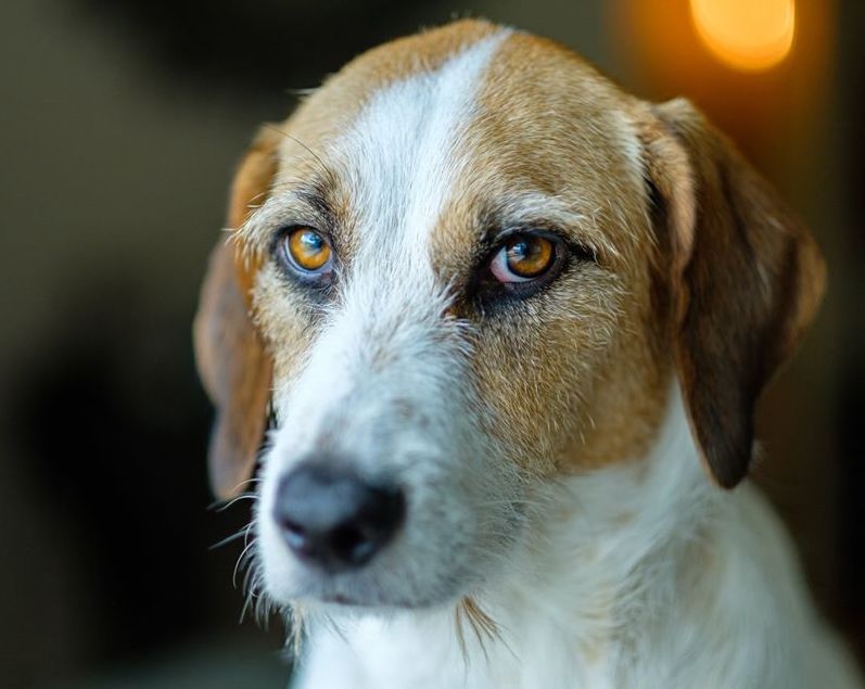 StephenCogswell299 | FOX 28 Spokane