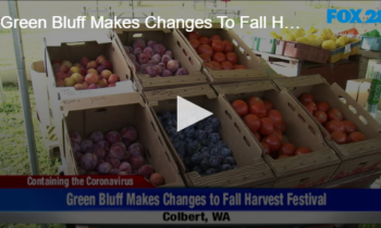 Green Bluff Makes Changes To Fall Harvest Festival