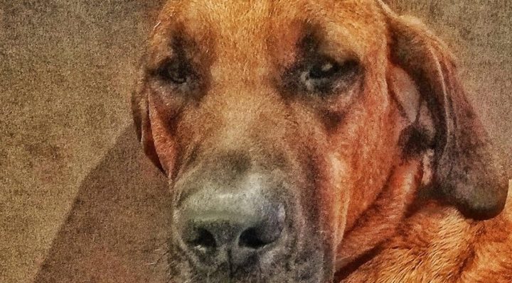 ColetteKase | FOX 28 Spokane