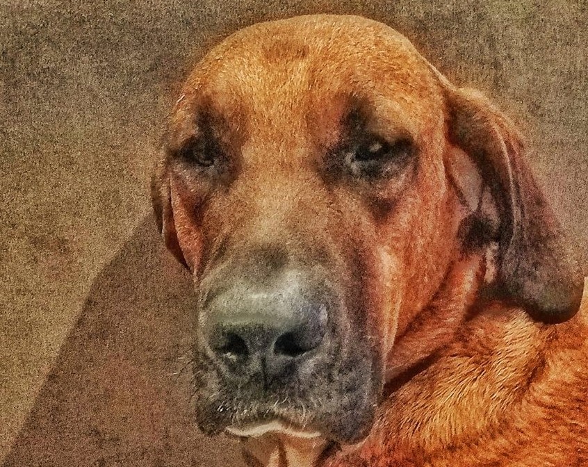 ColetteKase | FOX 28 Spokane