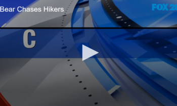 Bear Chases Hikers