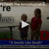 2020-09-18 It Smells Like Death The Amorphophallus Titanum Corpse Flower Blooms FOX 28 Spokane