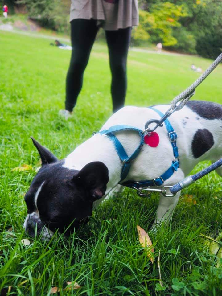 JenniferBristol | FOX 28 Spokane