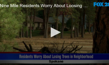 Nine Mile Residents Worry About Loosing Trees in Neighborhood