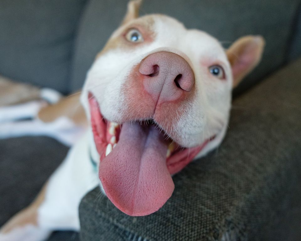 StevenCogswellHarley | FOX 28 Spokane