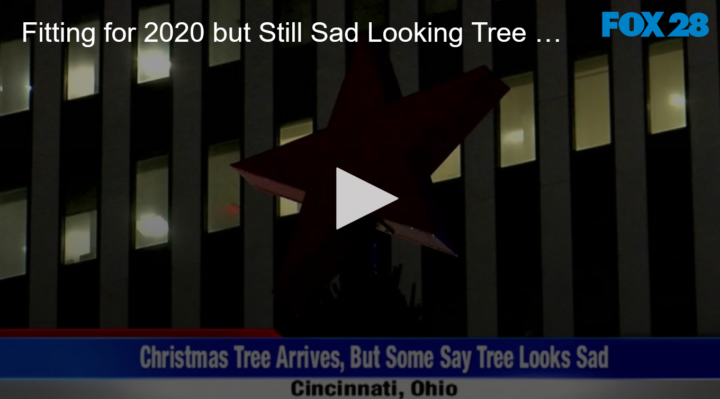 2020-11-12 Fitting for 2020 but Still Sad Looking Tree Arrives at Macy's Cincinnati Ohio FOX 28 Spokane
